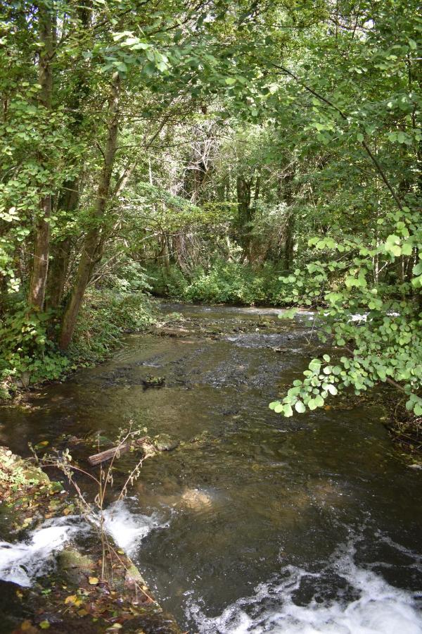 Le Moulin,19 Bis Rue De Beaudon, 45330 Augerville La Riviere Trezan Luaran gambar